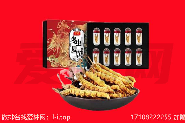 定襄县回收虫草.jpg